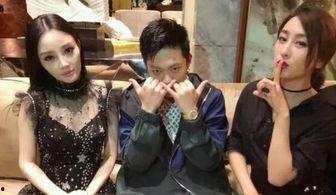 娱乐圈吃瓜小说陆家,娱乐圈风云再起,豪门恩怨背后的真相揭秘