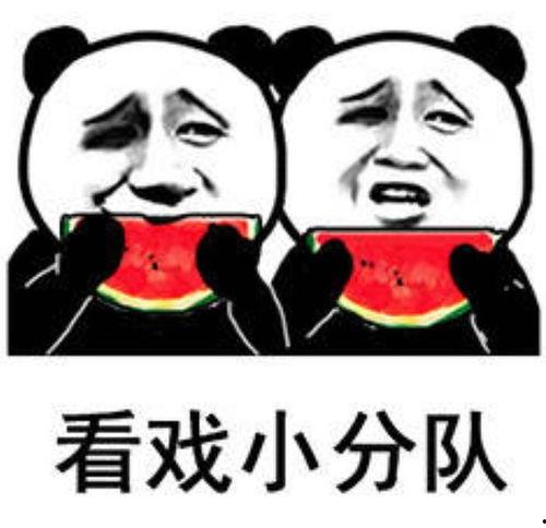 娱乐吃瓜图片表情包,笑翻你的日常!