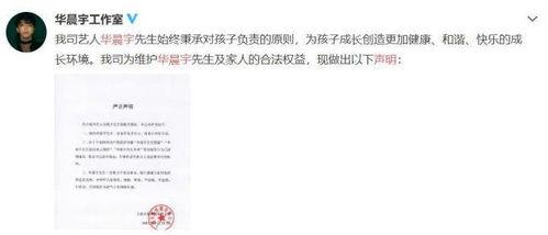 娱乐圈吃瓜ppt,PPT带你领略幕后风云